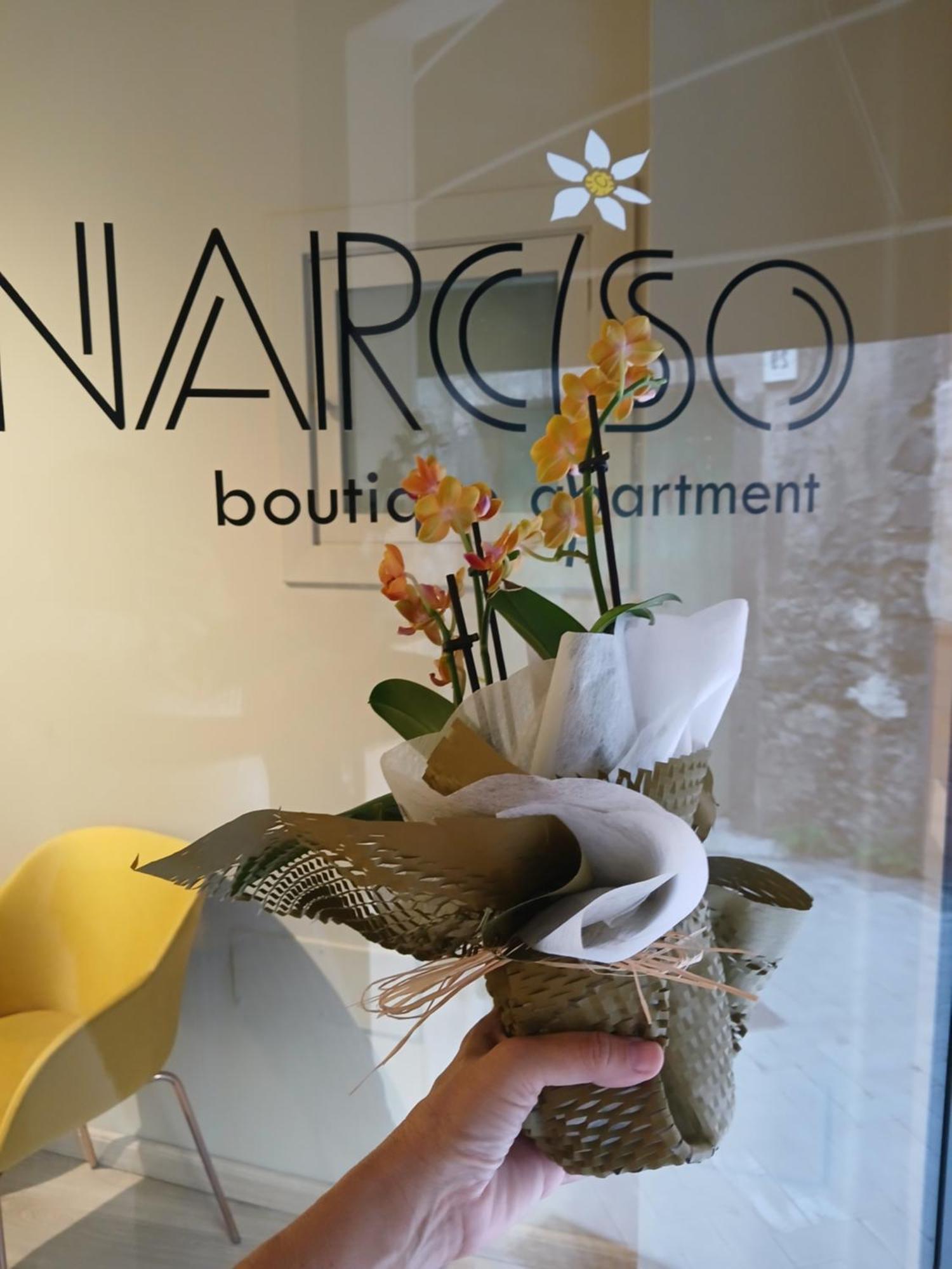 Narciso Boutique Apartment Acireale Exterior photo